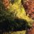 Pamela Duke's profile image