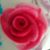 Arunya Gunasekaran's profile image