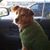 Stacy Shuck Skrivan's profile image