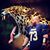 David Rotsch's profile image