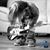 Guitarr Clasica's profile image