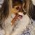 Amy Phillips's profile image