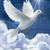 Rosaura Martinez's profile image