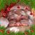 Diana Ybarra's profile image