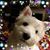 Barbara Powell's profile image