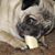Diane Hutchison's profile image