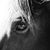 Stacy Matuszak Duncan's profile image