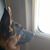 Stephanie Shanley Verdile's profile image
