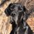 Tina Perry Buckley's profile image