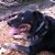 Michelle R Willis-Vann's profile image