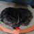 Nancy Levine's profile image
