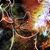 Mooka Hecht's profile image
