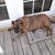 Judith Brummett Brewer's profile image
