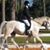 Marylin Levine Wittmer's profile image