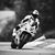 Attila Denes's profile image