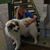 Michelle Berger Johnson's profile image