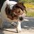 Heather Symon's profile image
