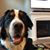 Scott Brunshwiler's profile image