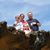 Tonya Hayes's profile image