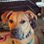 Jeanie Silk's profile image