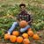 Omar Ghoramah's profile image