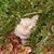 Cindy Craig Timmins's profile image