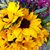 Melissa McKinstry's profile image