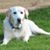 Cindy Roberts's profile image