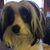 Holly Droese's profile image