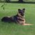 Cyndi Schardt's profile image