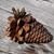 Renae Heintz's profile image