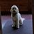 Sandy Hess's profile image