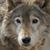 Tina Miller's profile image