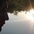 Mario Tagle Hernandez's profile image