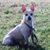 Beverly McBride's profile image