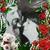 Joyce Stjohn's profile image