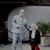 Susan Lubiens's profile image