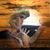 Sheri Lynn's profile image