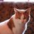 Olga Godin's profile image