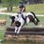 Clare VanderWoude's profile image