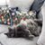Lisa J Pearson's profile image
