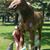 Heather Adamson's profile image