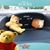 Kandy Brazell's profile image