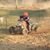 Cameron Cline's profile image
