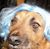Brody Motzer's profile image
