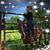 Michael Vegas Woodall's profile image