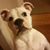 Cathy Lowe's profile image
