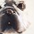 Michael Shannon's profile image