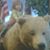 Rog Cathie Van Liere's profile image