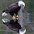 Cathy Williams's profile image